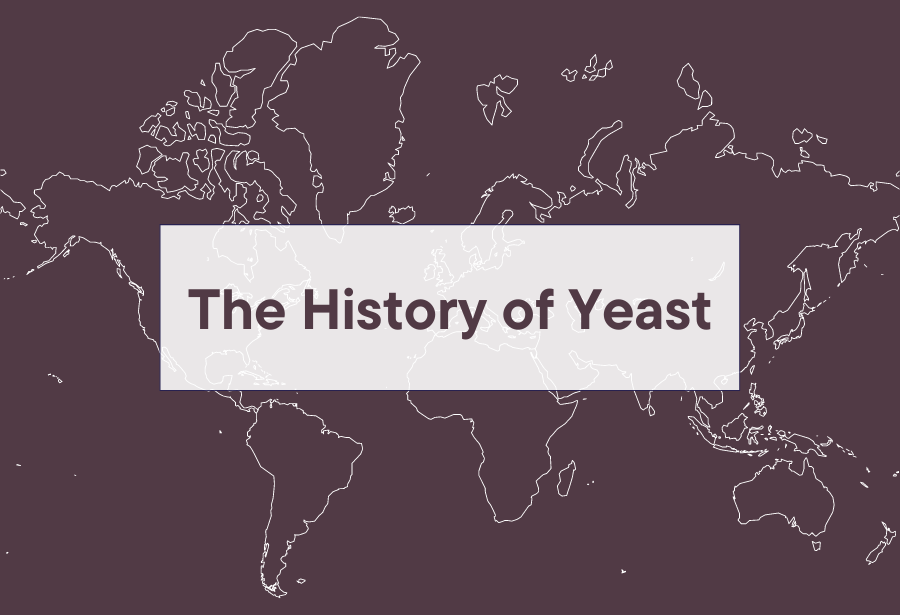 The History of Yeast