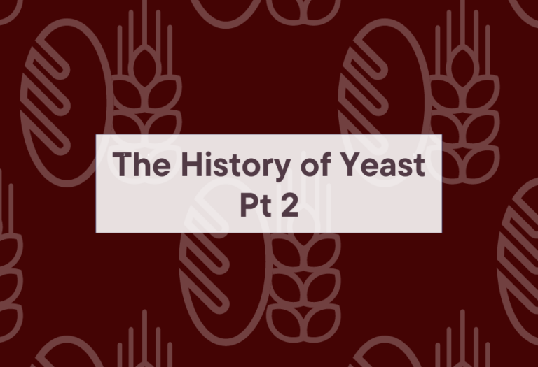 Part 2- History of Yeast