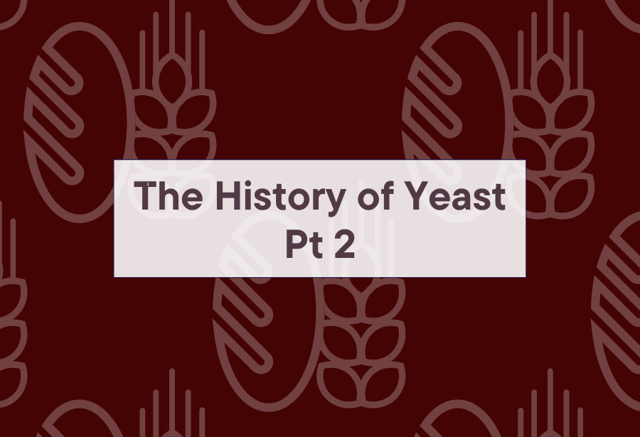 Part 2- History of Yeast